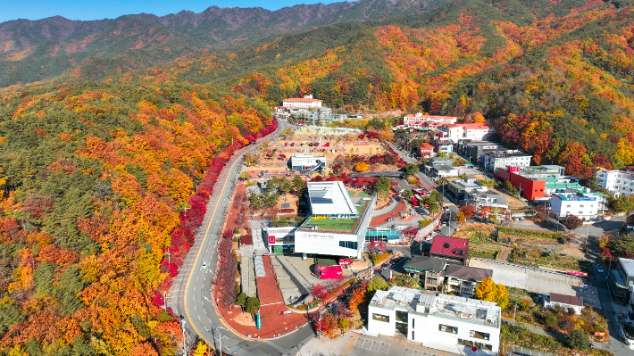 팔공산 단풍 전경. 대구 동구 제공