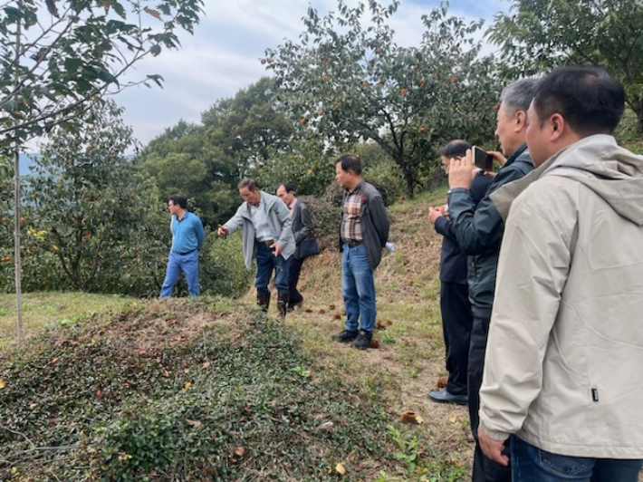12월부터 시작되는 진상면 매티재 여수사건 희생자 발굴 현장. 광양시 제공 