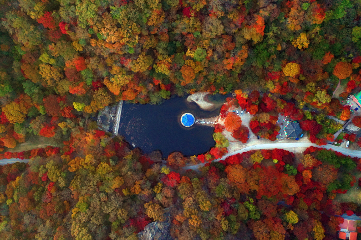 전북 정읍 내장산. 정읍시 제공