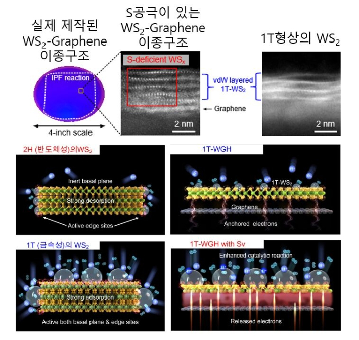 이황화텅스텐-그래핀 이종구조 반도체(기계연구원 제공)