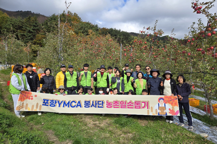 포항YMCA 봉사단, 사과따기 일손돕기 나서
