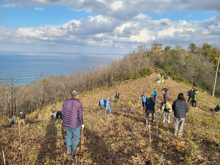 울진군이 양봉농가 소득원 확보를 위한 밀원수 나눔행사를 열고 있다. 울진군 제공