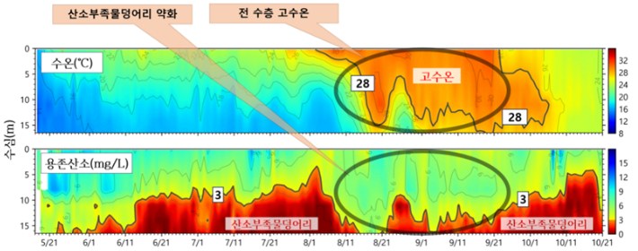  2024년 진해만 서부해역 수온, 용존산소 수직분포의 일별 변화. 국립수산과학원 제공