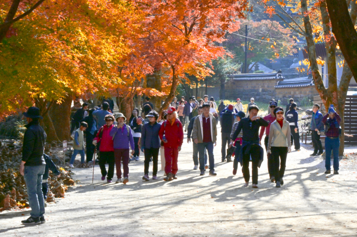 전북 순창군 강천산군립공원. 순창군 제공