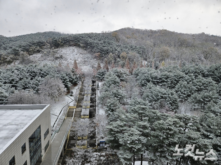 충남 천안지역에 많은 눈이 내리고 있다. 인상준 기자