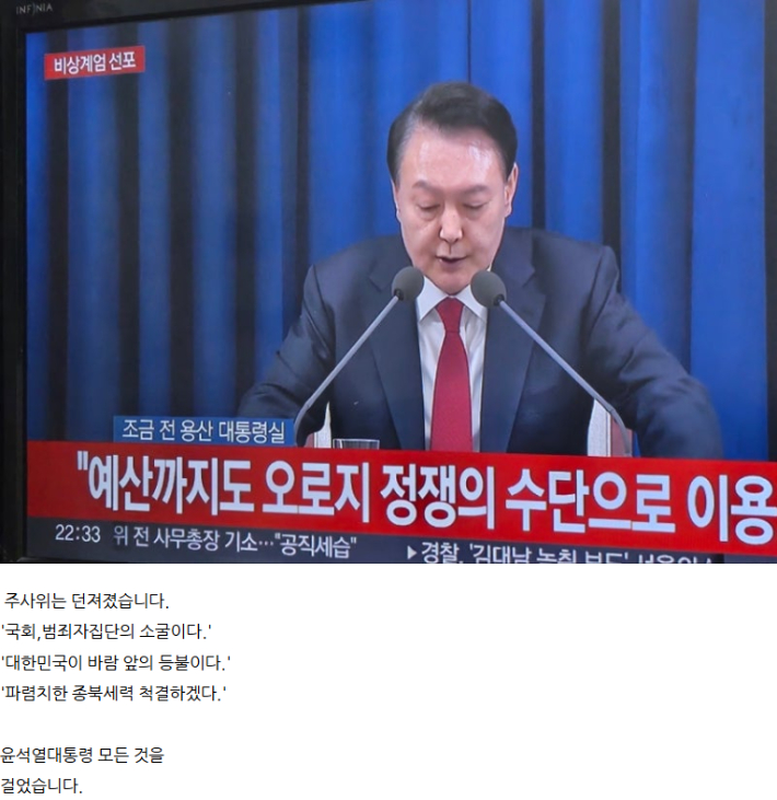 윤 대통령의 비상계엄 선포 이후 전여옥 전 의원이 자신의 네이버 블로그에 올린 글 중 일부. 블로그 화면 캡처