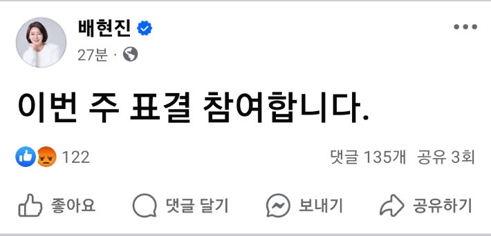 국민의힘 배현진 의원 SNS 화면 캡처