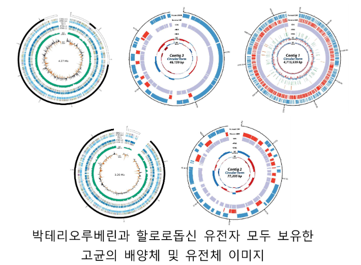 국립생물자원관 제공