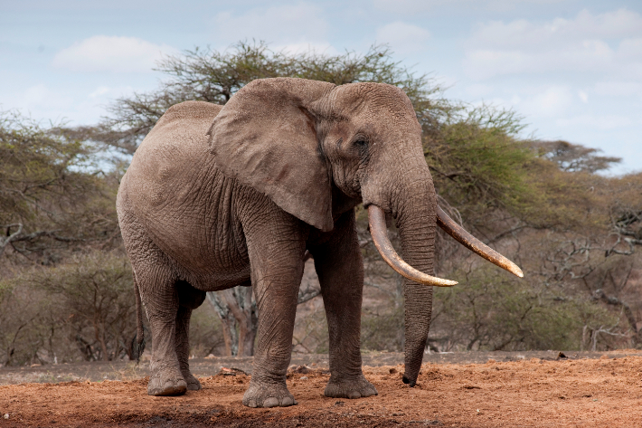 스마트이미지 제공