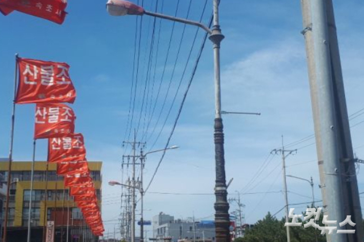 13일 강원 동해안 지역에 건조주의보가 발효되면서 산불 등 화재예방에 각별한 주의가 요구된다. 전영래 기자