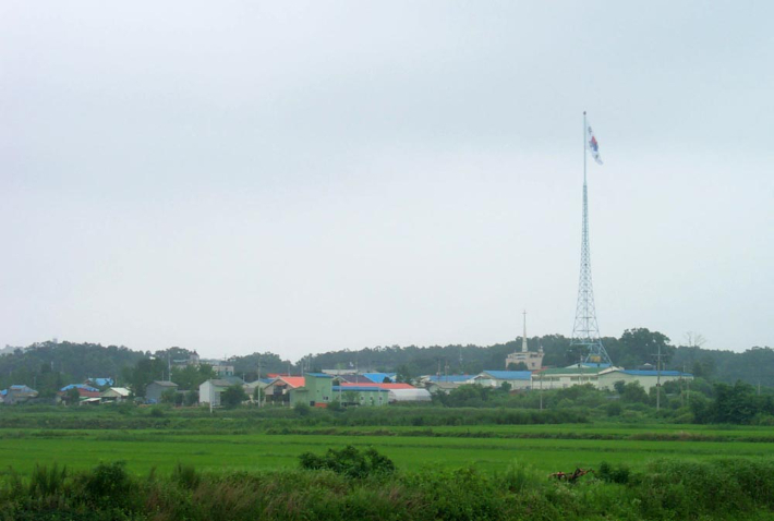 비무장지대(DMZ) 내 유일한 민간인 거주지인 경기 파주시 대성동마을. 피주시 제공 