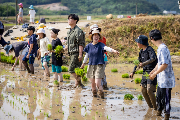 지난 5월 모내기를 하고 있는 학생들. 사랑어린학교 제공 