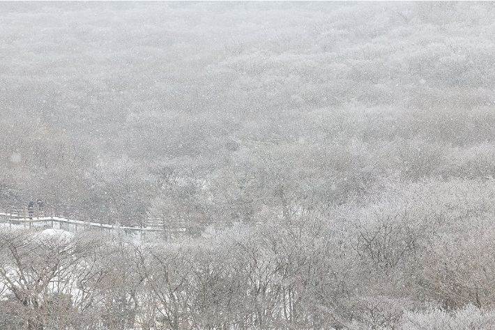 한라산. 연합뉴스