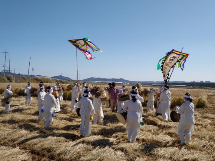 포항 흥해농요 벼베는 소리 재현 행사. 포항시 제공