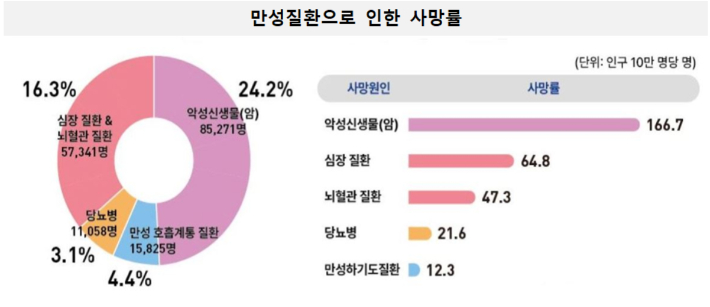 질병청 제공