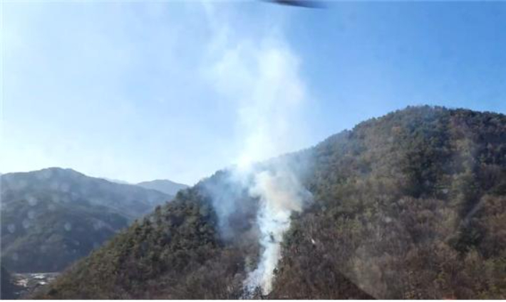 성주 산불 현장. 산림청 제공