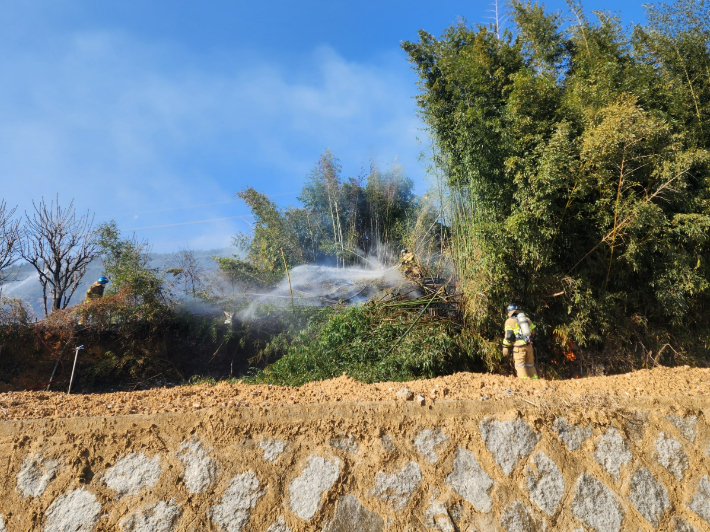 2일 부산 기장군에 있는 야산 대나무숲에서 불이 나 소방대원들이 진화 작업을 벌이고 있다. 부산소방재난본부 제공 