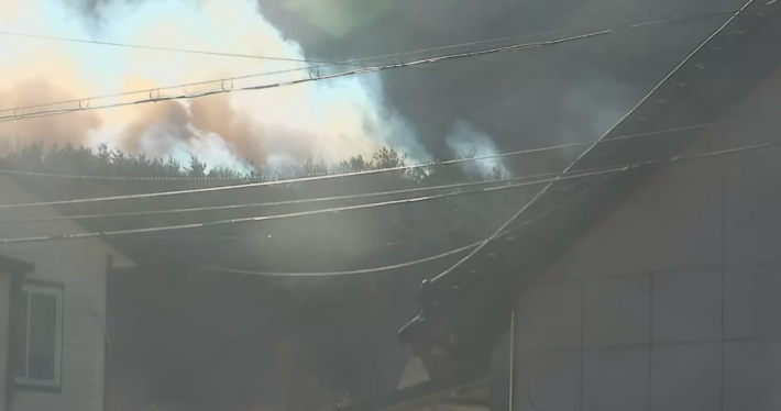 울산시 울주군 범서읍 척과리 야산 화재 현장. 울산소방본부 제공