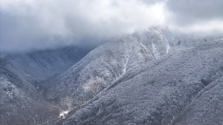 제주도 산지에 대설주의보. 연합뉴스