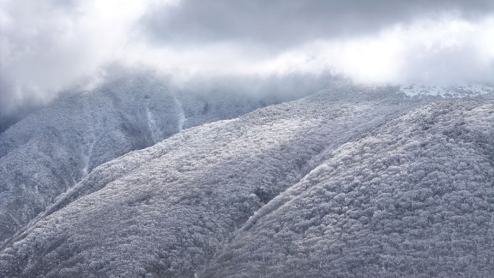 눈 내린 한라산. 연합뉴스