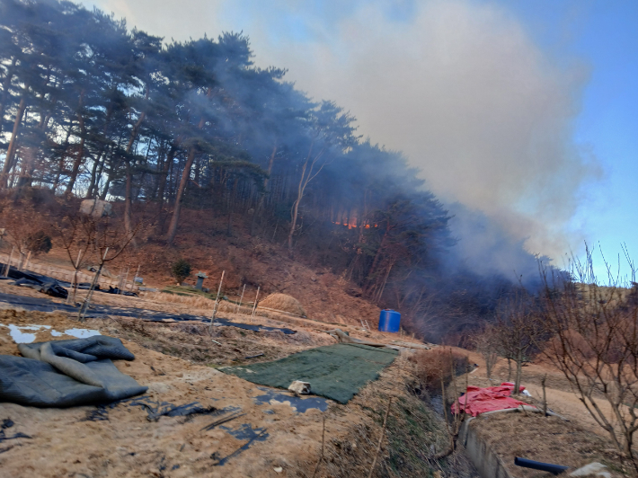 경북 영덕 산불 현장 사진. 산림청 제공