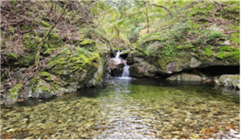 계목이소. 동해시 제공