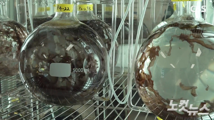 전북 군산시 나운동의 전북자치도수산기술연구소 수산물안전센터에서 김을 양식하고 있다. 김현주 크리에이터