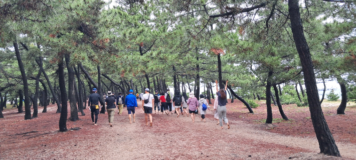 해안가 맨발걷기. 강릉시 제공