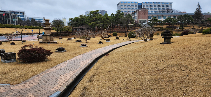 대구시 산격동 경북대 캠퍼스. 이재기 기자 