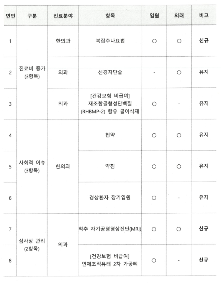 2025년 자동차보험 선별집중심사 대상항목. 심평원 제공 