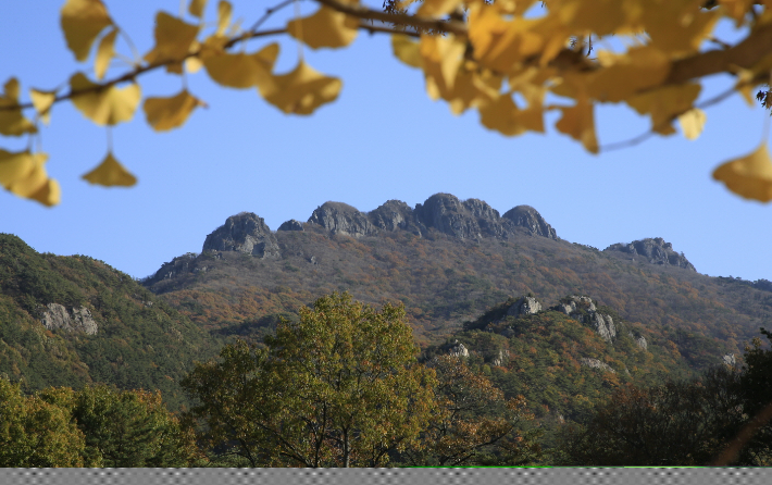 봉우리가 8개인 팔영산. 고흥군 제공
