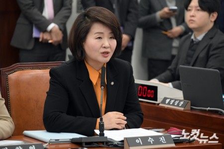 발언하는 이수진 야당 간사