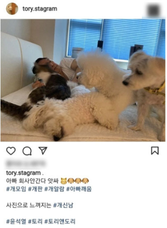 윤석열 전 검찰총장 시절 운영한 반려견 인스타그램. SNS 캡처