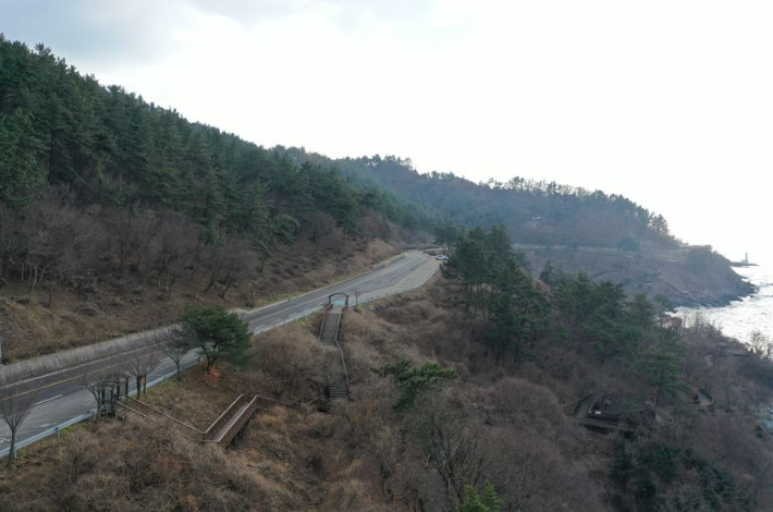 전남 영광군은 백수해안도로 산림경관 개선을 위해 백수해안도로 일대 숲가꾸기 사업을 추진하고 있다고 17일 밝혔다. 영광군 제공