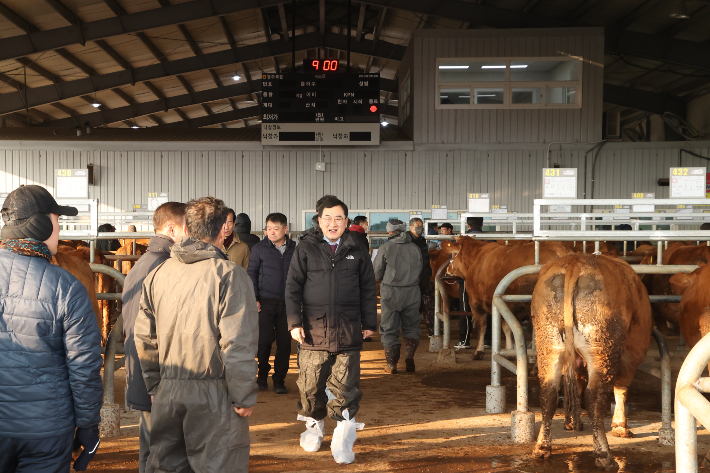 주낙영 경주시장이 경주가축시장을 찾아 한우 거래 현장을 둘러보고 축산농가 및 관계자들의 애로사항을 청취하고 있다. 경주시 제공