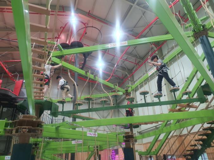 영천 보현산휴양림 짚코스터. 경북도 제공