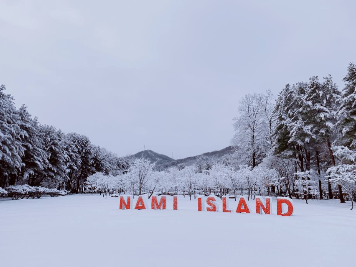 남이섬 겨울 풍경. 남이섬 제공 