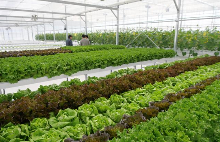 남원주농협 스마트농업지원센터 전경. 원주시 제공 