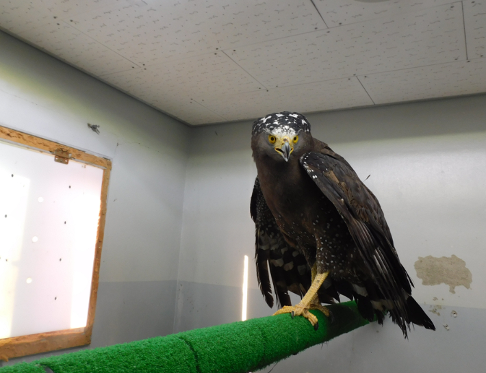 관수리. 낙동강하구에코센터 제공