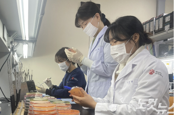 식중독 균 검사. 광주시 보건환경연구원 제공