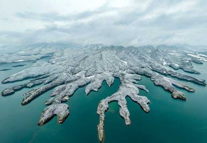 충주 악어섬. 충주시 제공