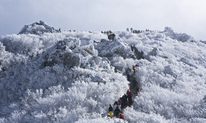 무주 덕유산. 전북도 제공