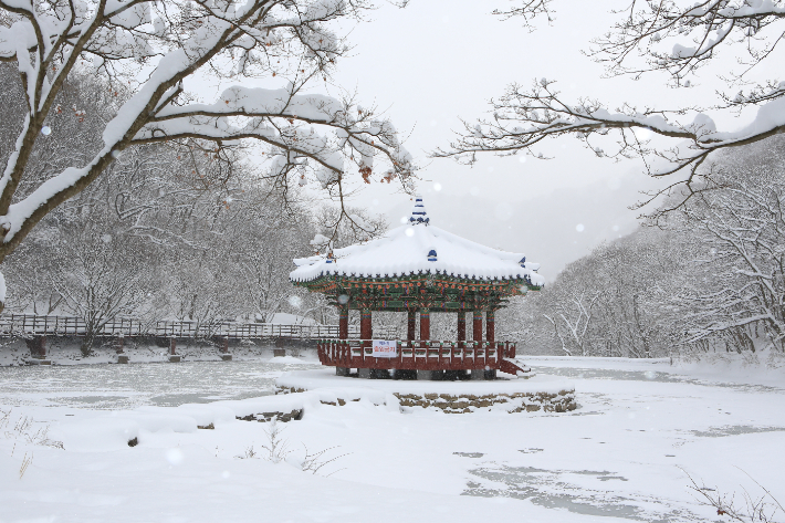 정읍 내장산 국립공원. 전북도 제공