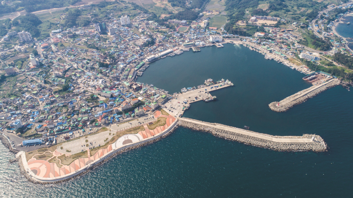 경주 감포항 전경. 경주시 제공