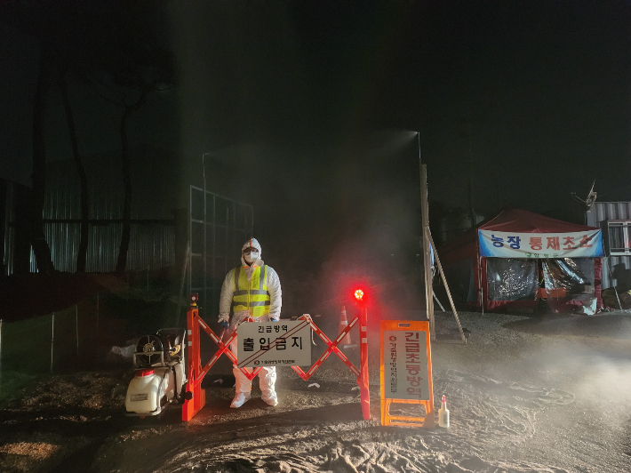 전라남도는 함평의 한 종오리농장에서 지난 1일 H5형 조류인플루엔자(AI) 항원이 검출돼 신속한 초동방역 조치를 했다. 전남도 제공