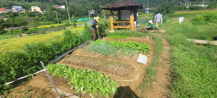 부산시가 시민 공영텃밭 참가자를 모집한다. 부산시 제공
