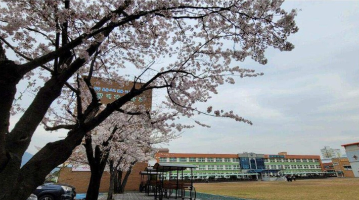 희양중학교로 교명이 변경되는 광양여중 모습. 광양여중 제공 