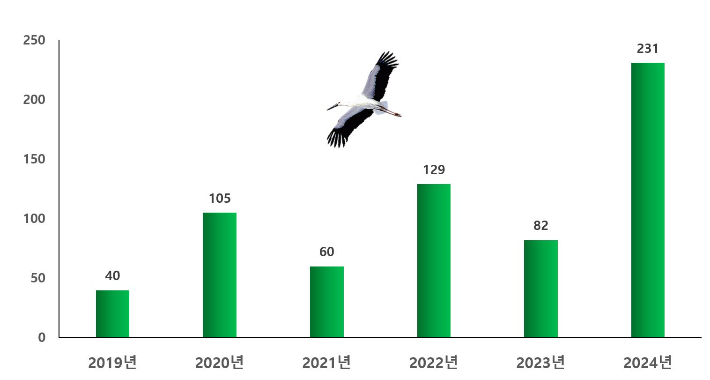 연도별 전국 황새 마리 수 변동 그래프. 예산군 제공