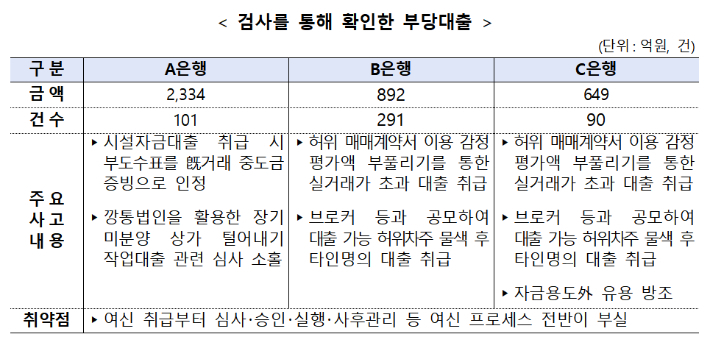 2024년 지주･은행 등 주요 검사를 통해 확인한 부당대출. 금융감독원 제공