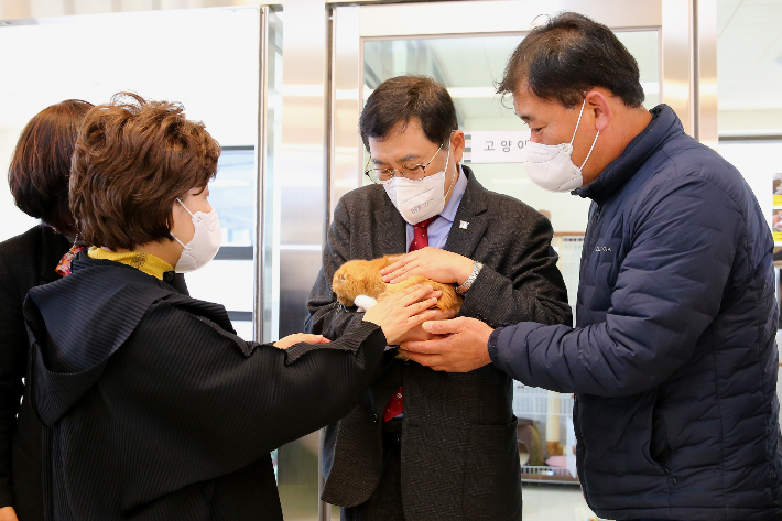 주낙영 경주시장이 경주동물사랑보호센터를 찾아 유기묘를 돌보고 있다. 경주시 제공